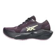 ASICS NOVABLAST 6 GTX 6 Damen