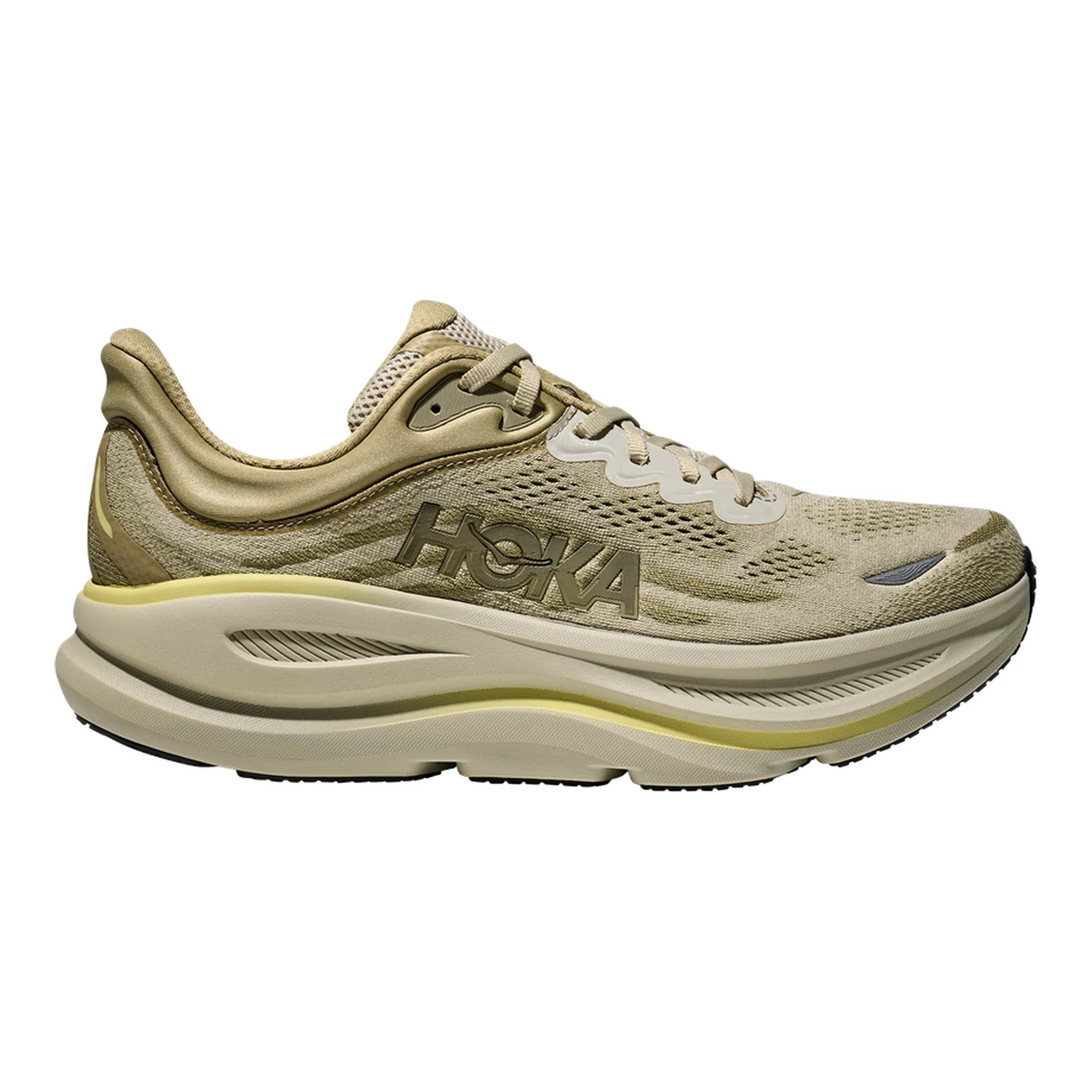 grassland / oyster mushroom