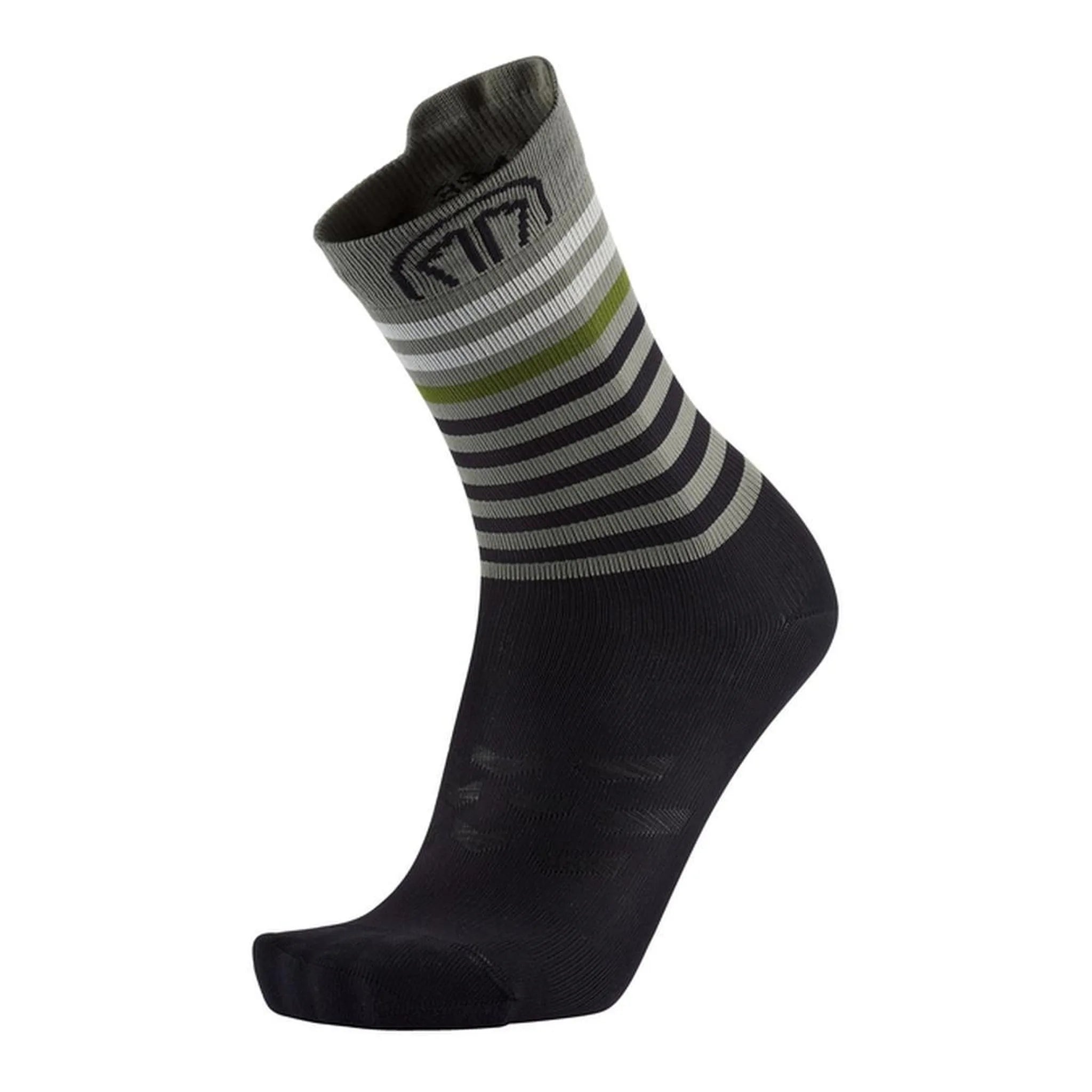 RUN ANATOMIC LIGHT CREW