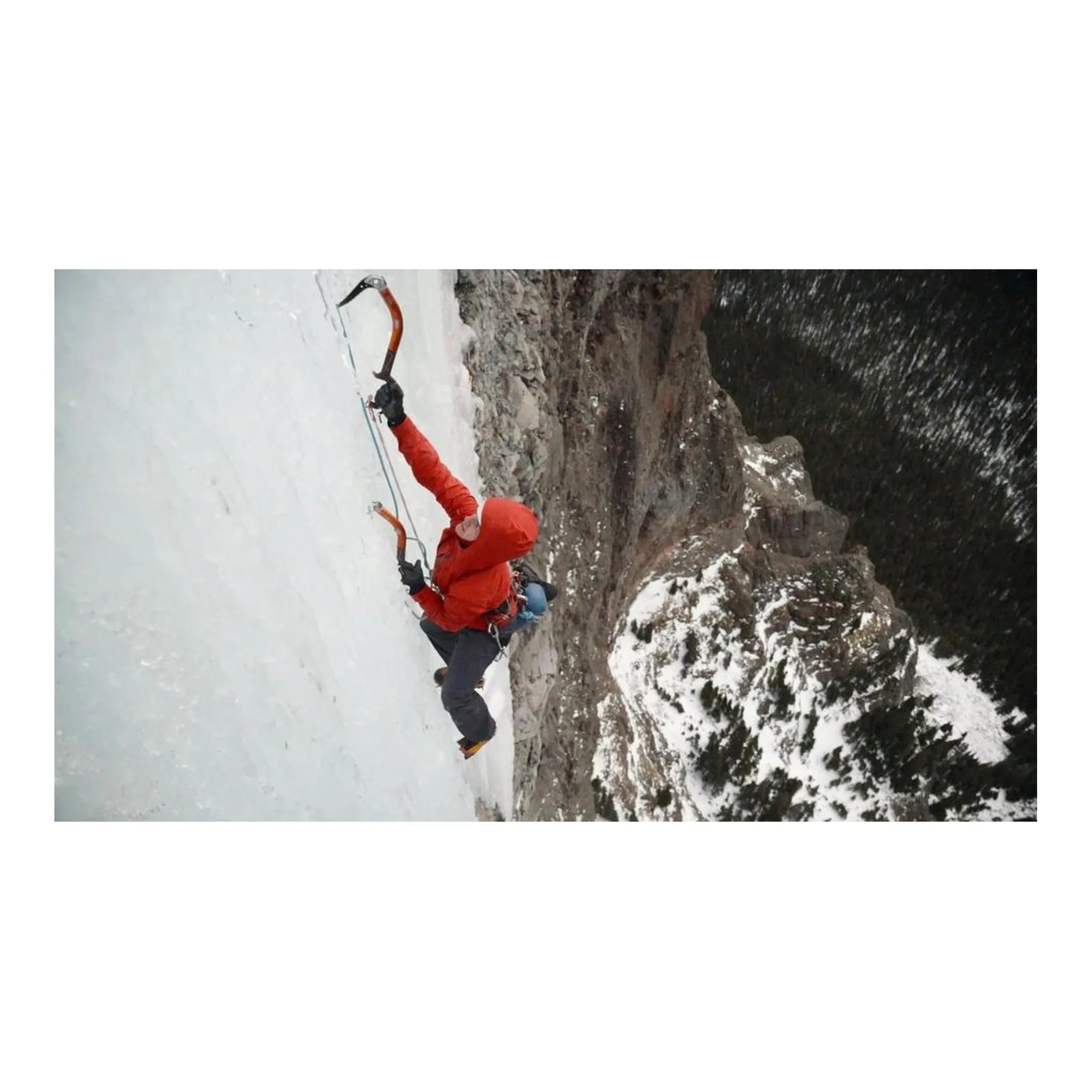 W's Dual Aspect Bibs