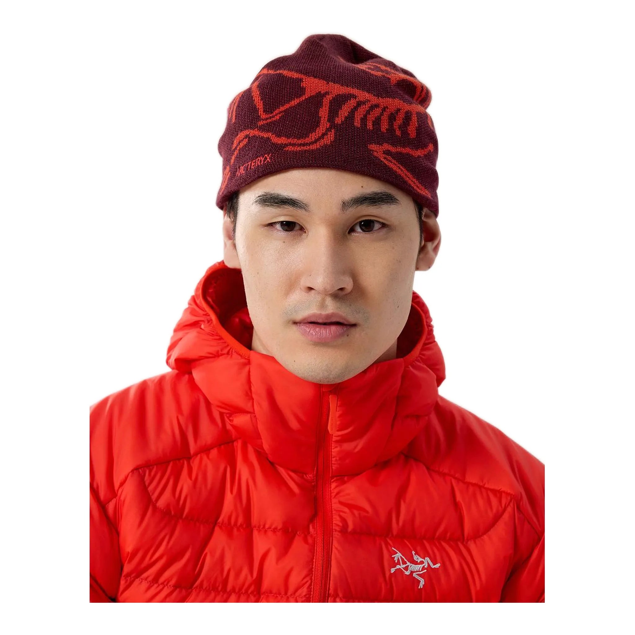 Arcteryx Bird Head Toque