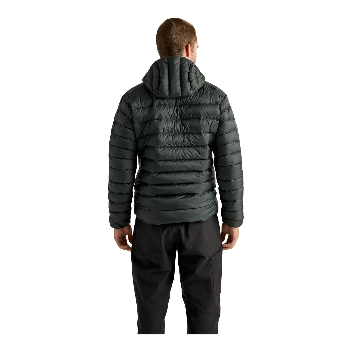 Cerium Hoody M