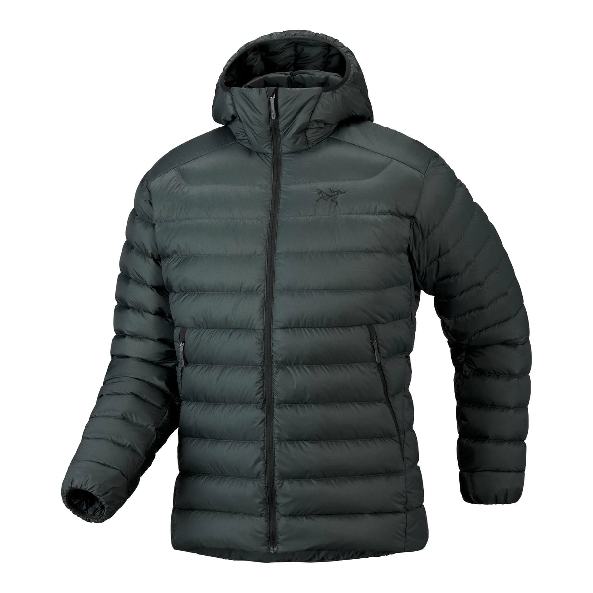 ARC'TERYX Cerium Hoody M Herren