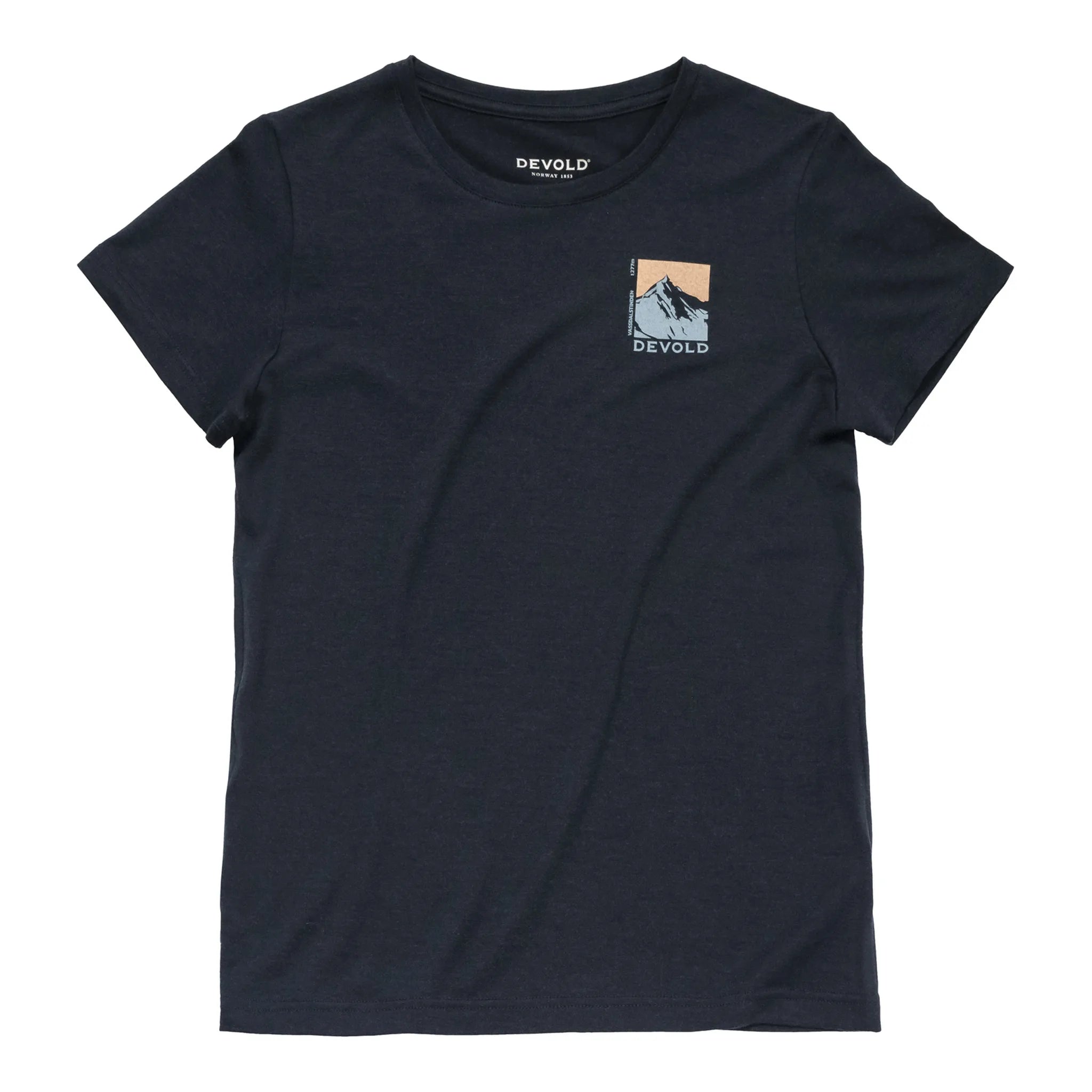 DEVOLD CLASSIC SUMMIT TEE WMN Damen