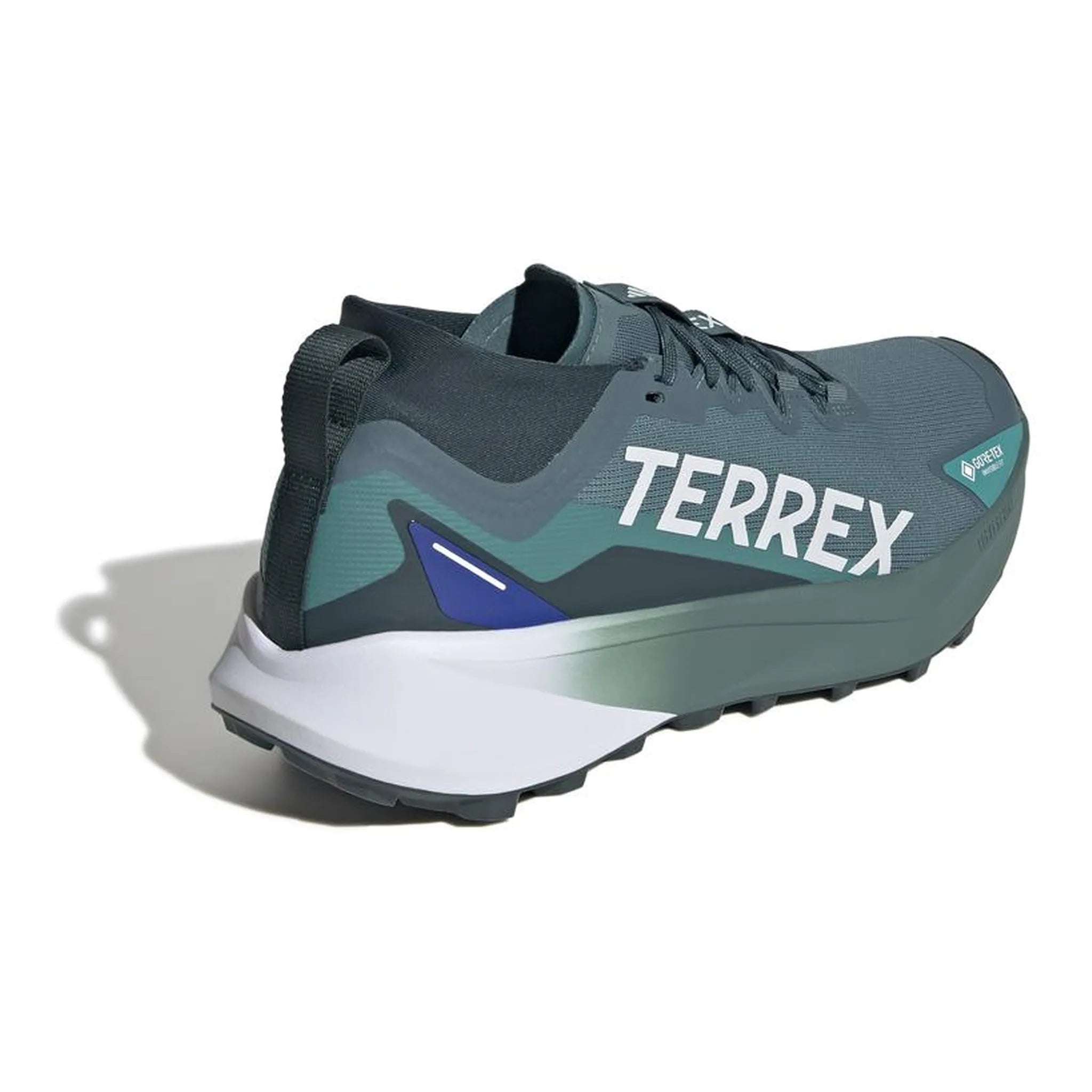 Terrex Agravic Gtx