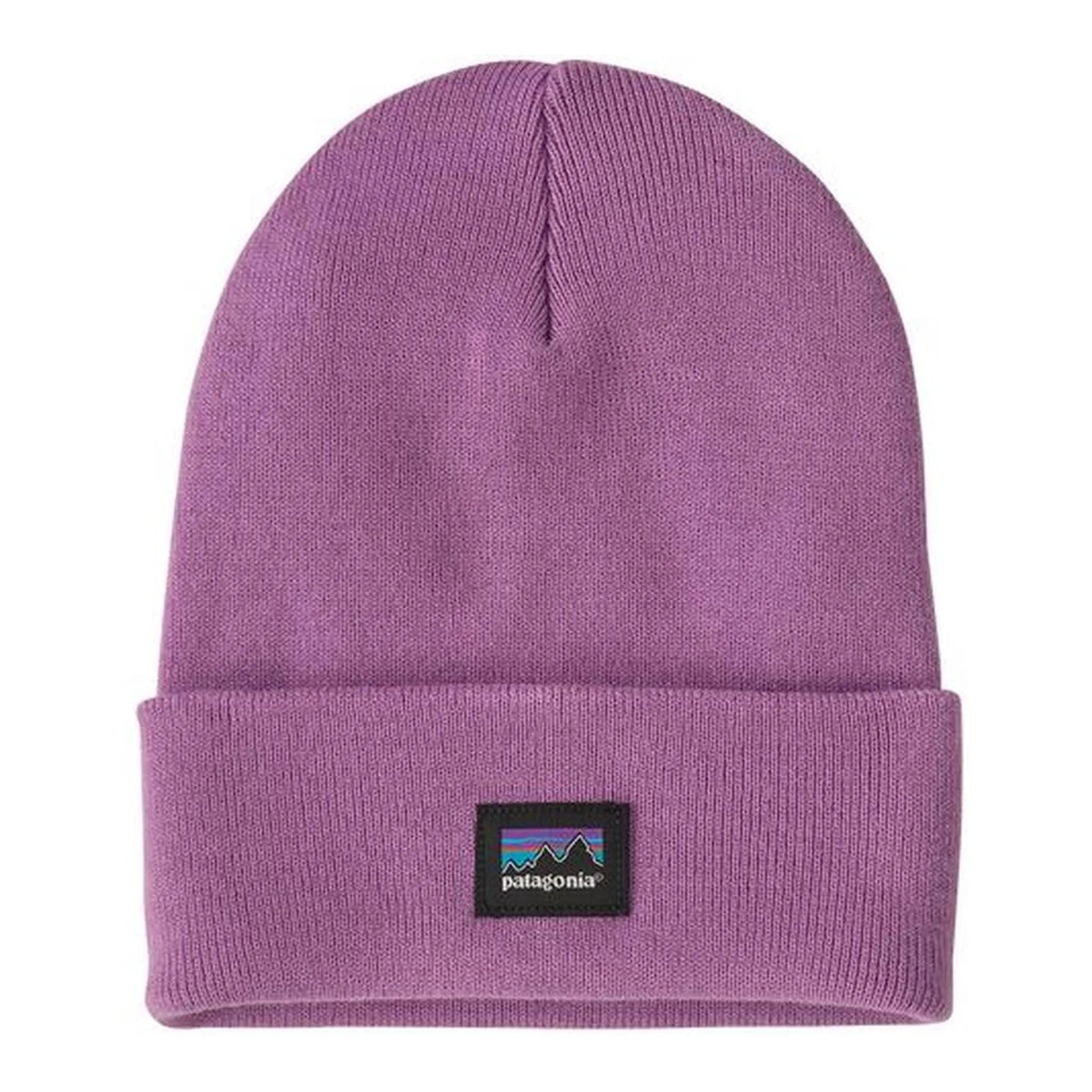 Patagonia Everyday Beanie Unisex
