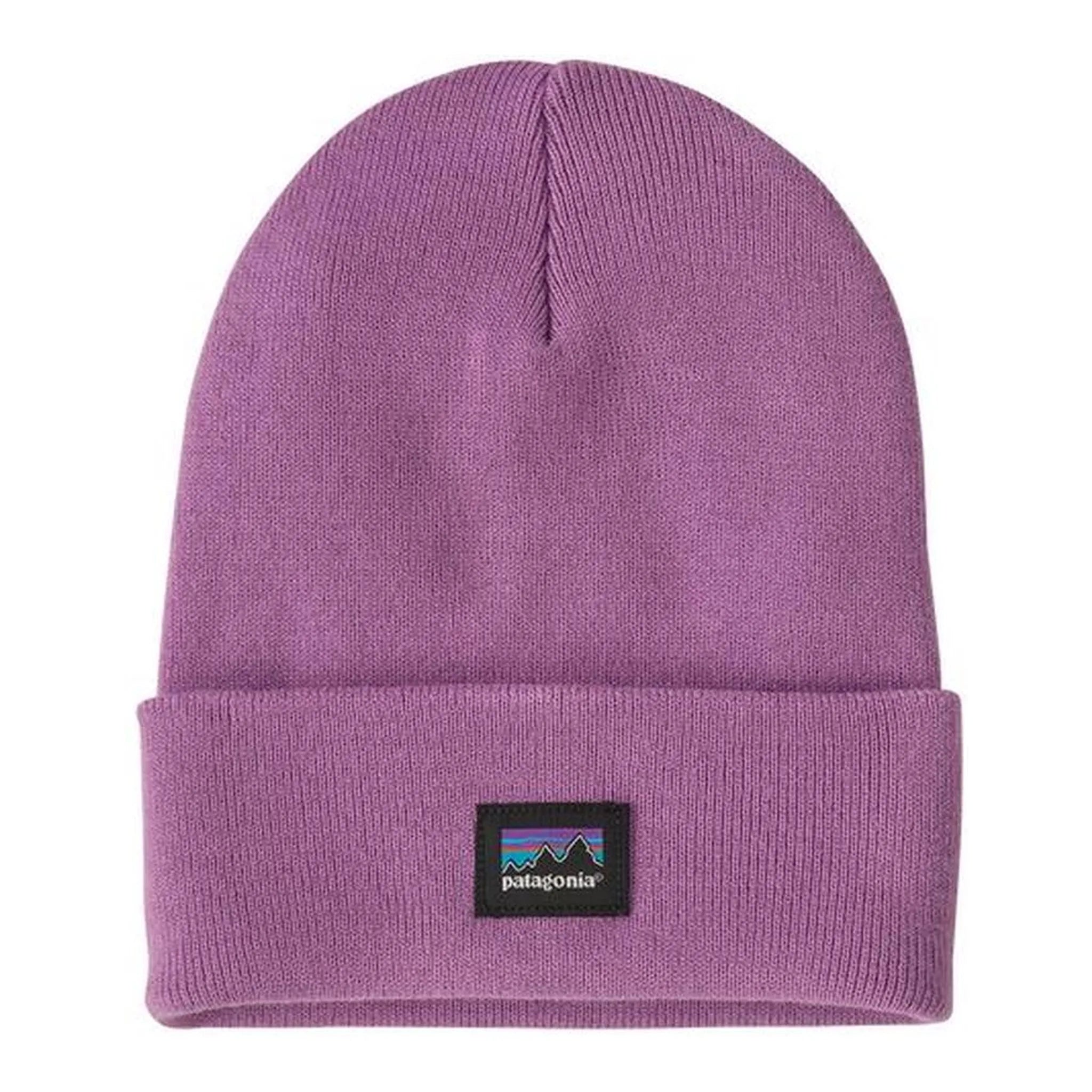 Patagonia Everyday Beanie Unisex