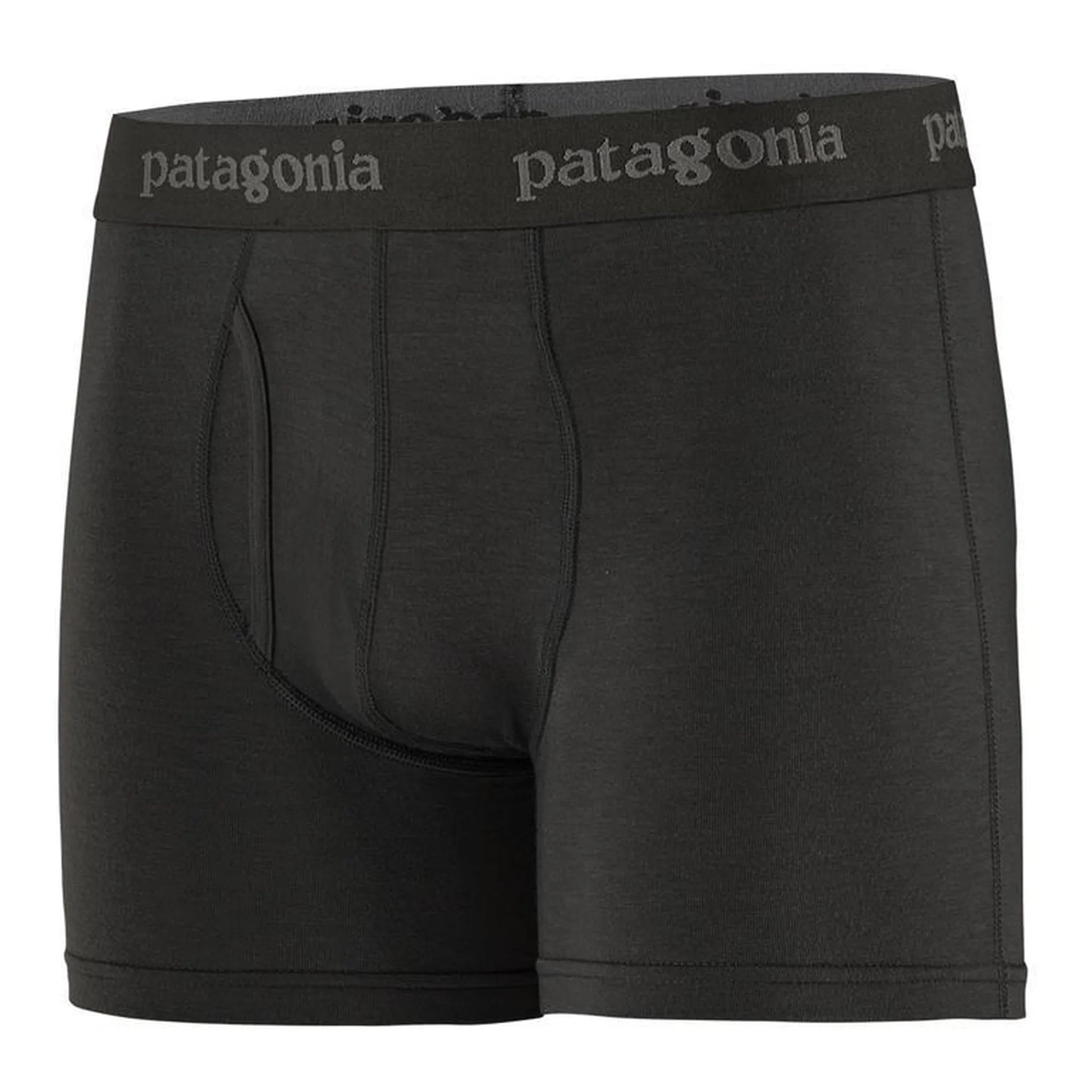Patagonia M's Essential Boxer Briefs - 3 in. Intimates