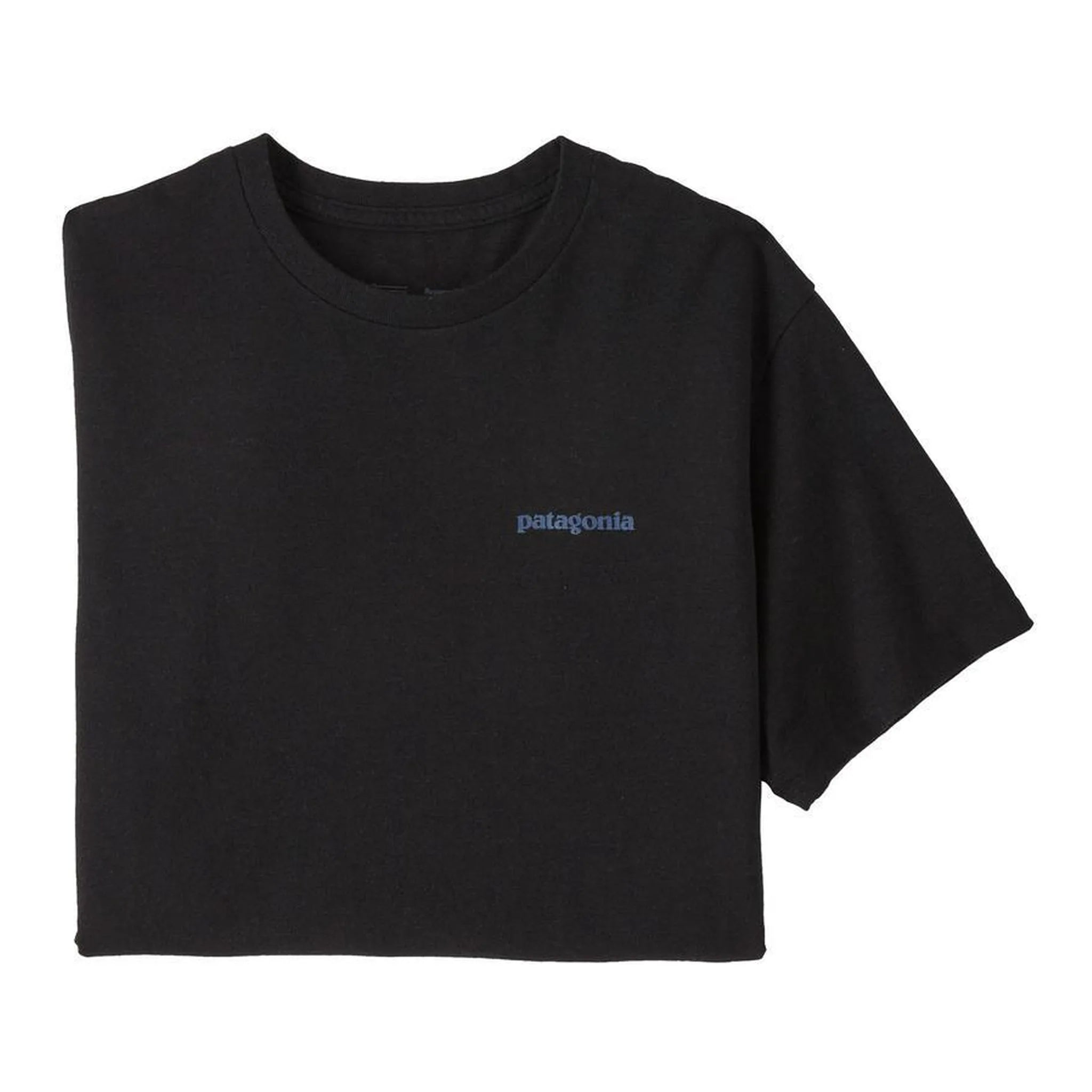 Patagonia Fitz Roy Icon Responsibili-Tee Tops