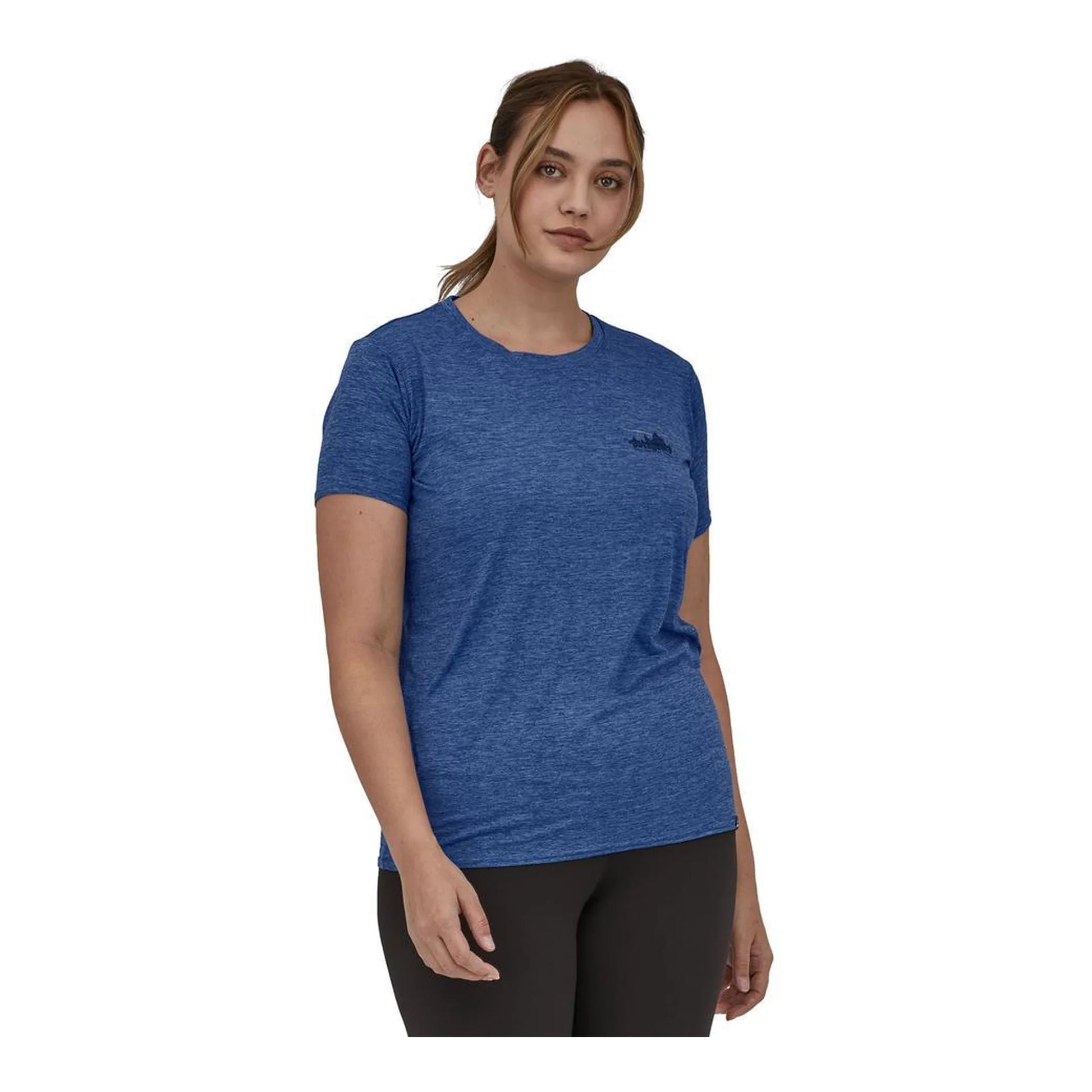 '73 skyline: current blue x-dye