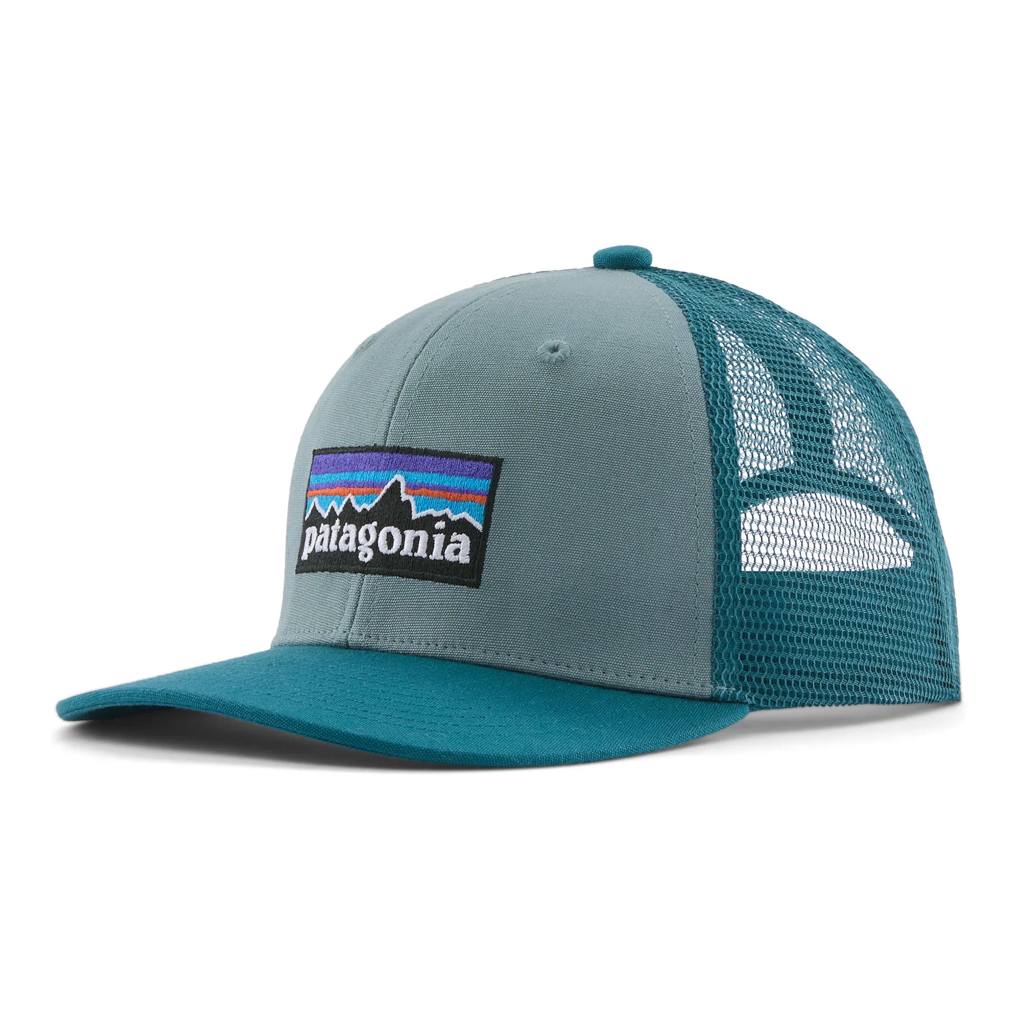 p-6 logo: blue sage