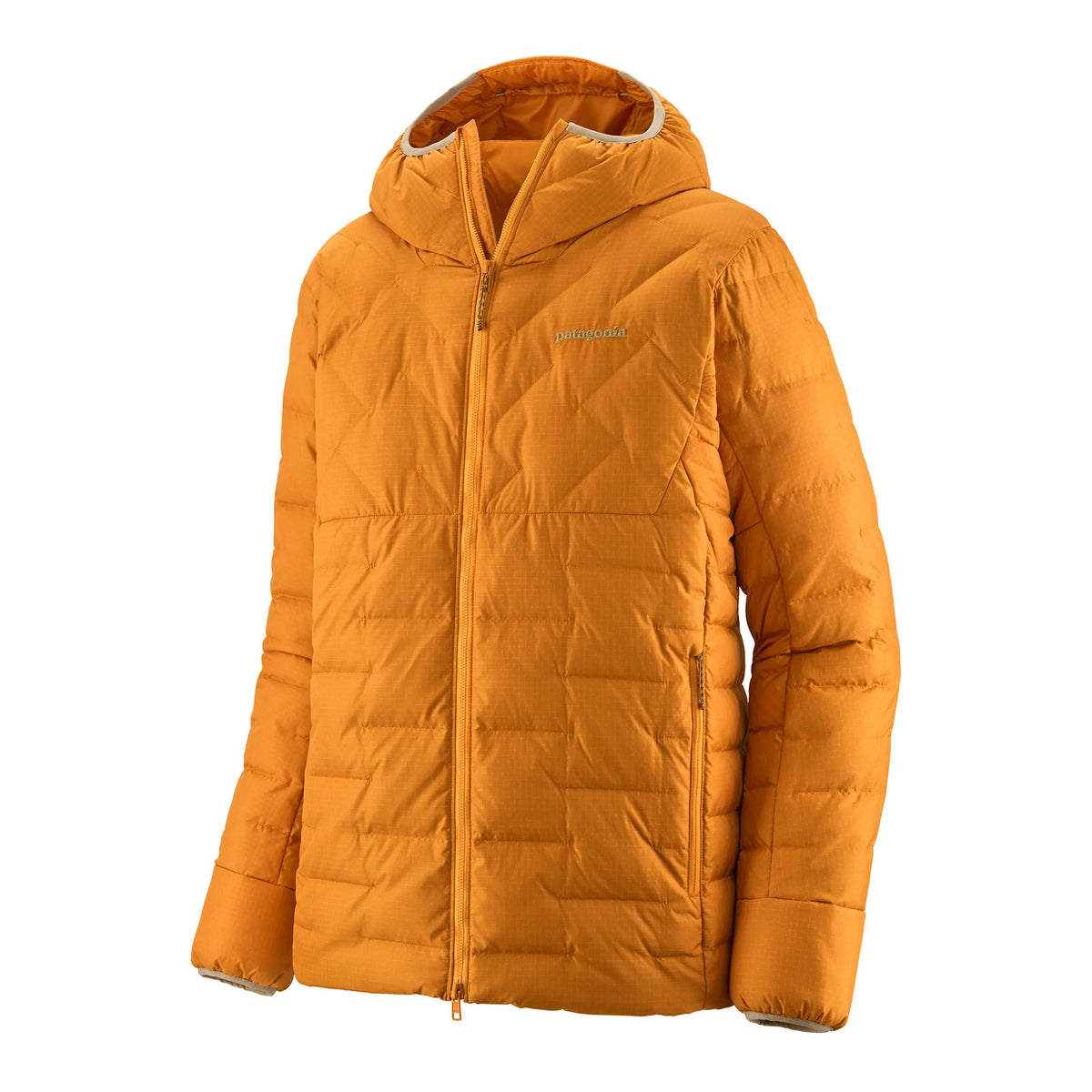Patagonia M's Durable Down Hoody Mens