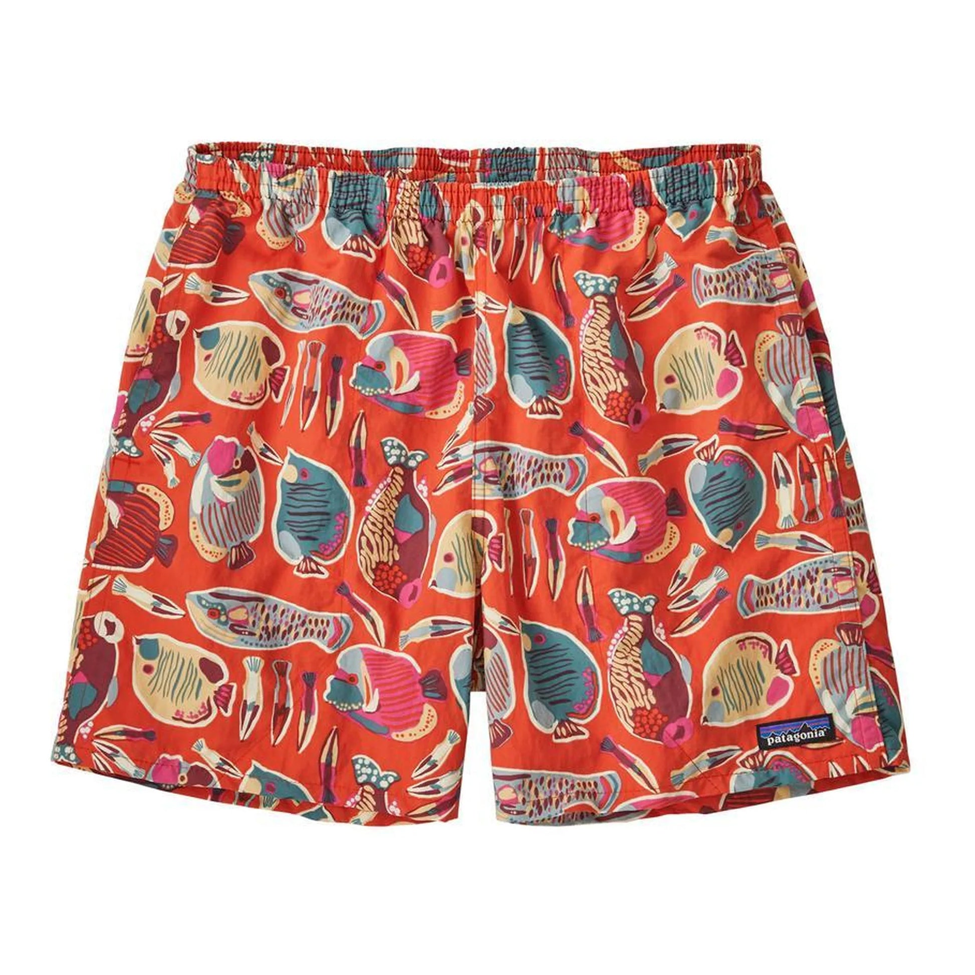 wrasse: pollinator orange