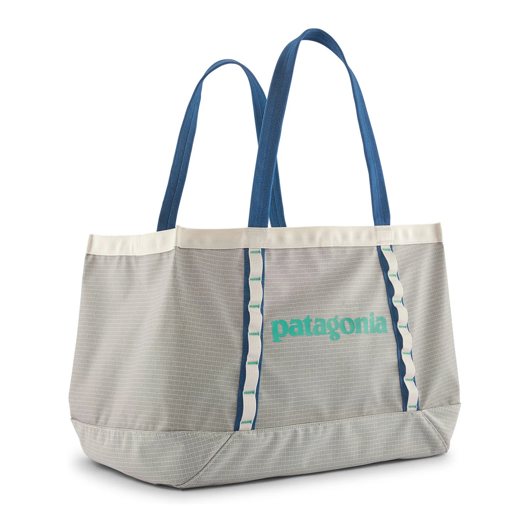 Patagonia Black Hole Tote 25L Unisex