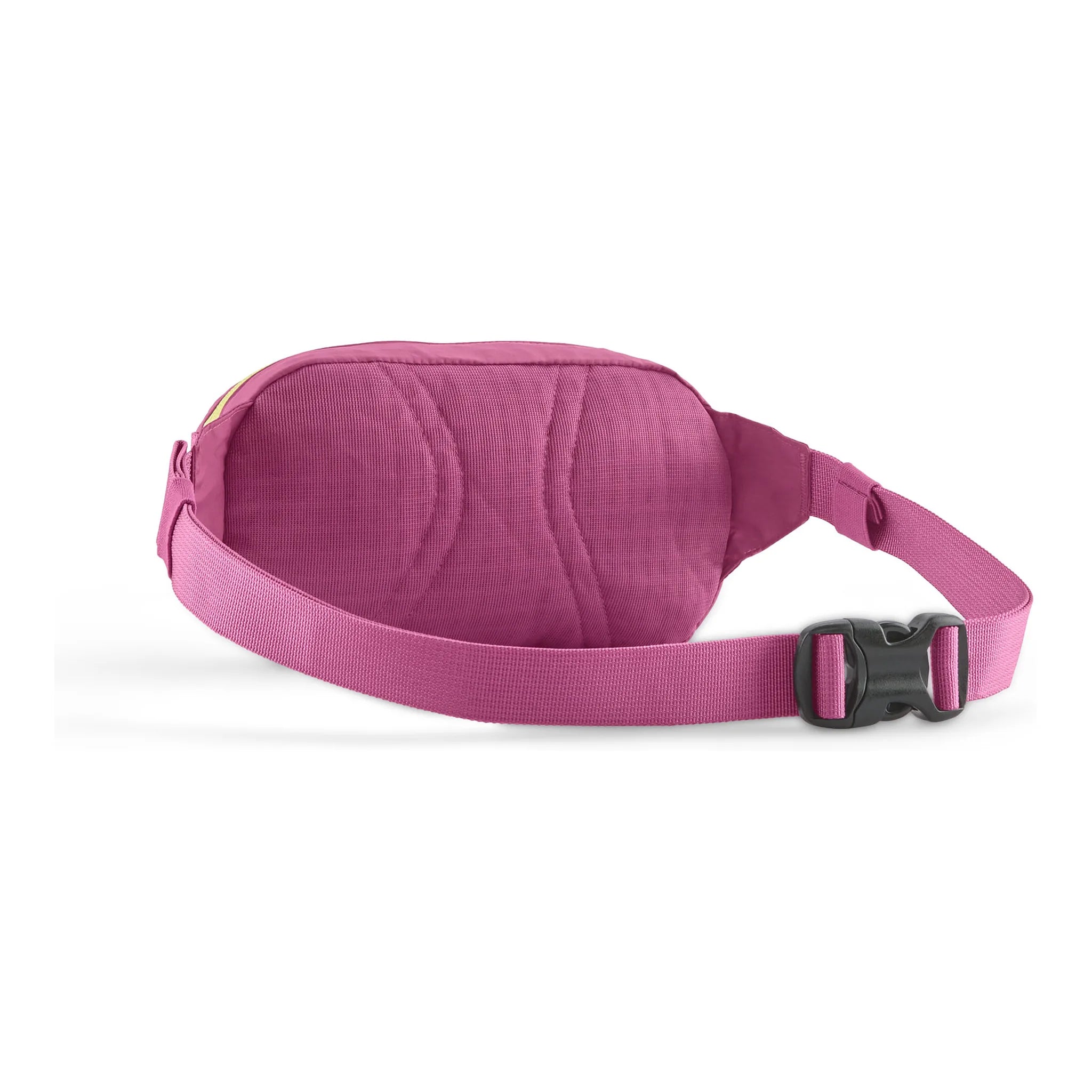 Terravia Mini Hip Pack